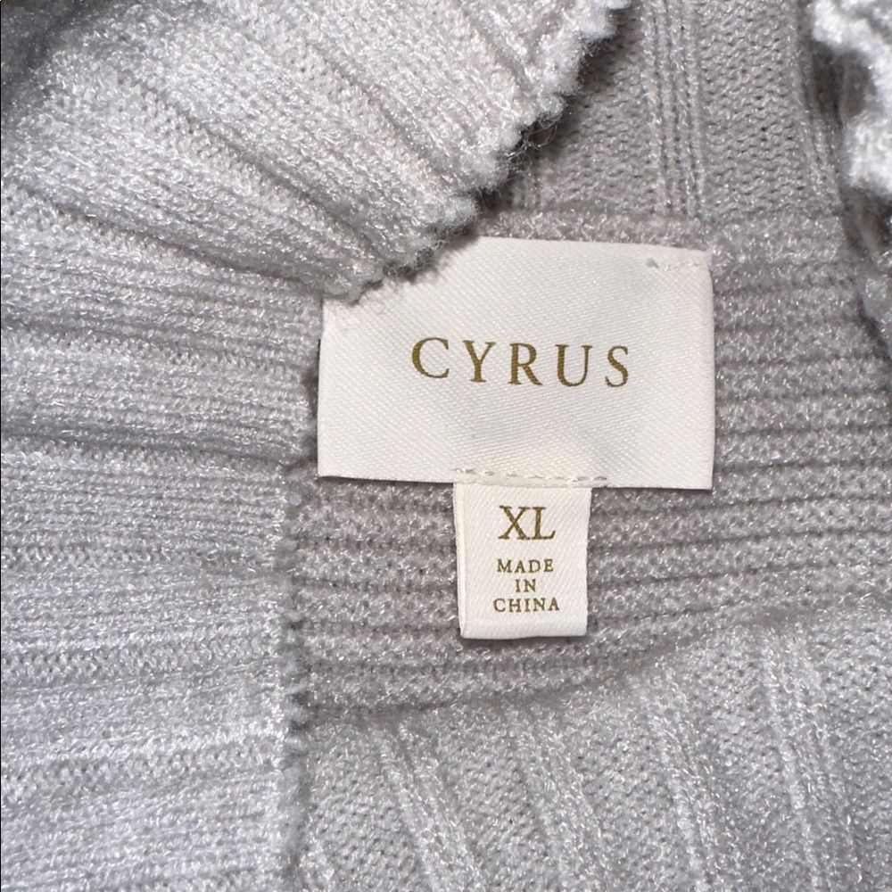 CYRUS XL Gray Mock Neck Horizontal Knit Statement Sleeve Tunic Style Sweater - Picture 9 of 10